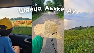 Лето в Швеции | Нохчий блогер