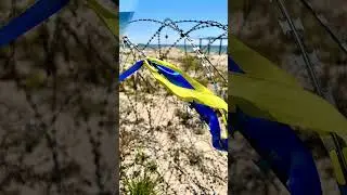 Заміноване море