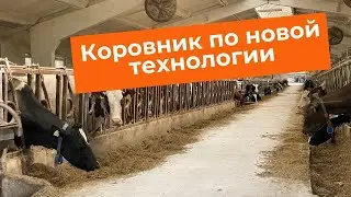 Строительство коровника