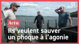 Dans la rade de Brest, Sea Shepherd met à l'eau sa plateforme pour secourir un phoque entravé