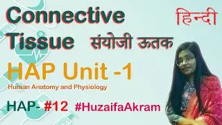 Connective Tissue in Hindi | HAP Unit-1 | HAP- #12 | 