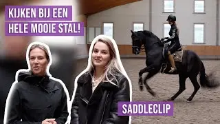 Op bezoek bij Esmee! || Equestic saddleclip
