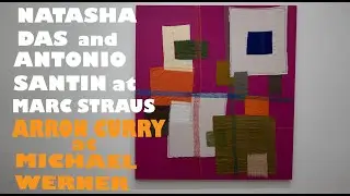 Natasha Das and Antonio Santίn at MARC STRAUS Arron Curry at MICHAEL WERNER