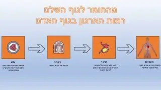 הכנה למבחן לתלמידים בעלי פטור בחינוך גופני -  שיעור 1 - מבוא לאנטומיה ופיזיולוגיה