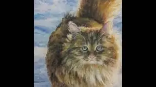 КОШАЧИЙ ХИТ🐱