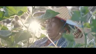 Justin Pascua - 2023 Cinematography Reel
