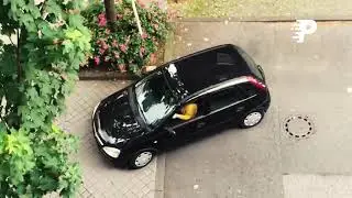 Hilarious Parking