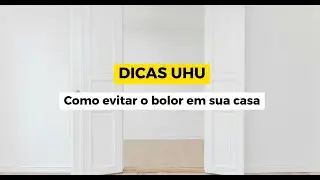 DICAS UHU | Como evitar o bolor em sua casa