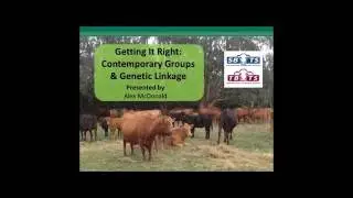 Getting It Right : Contemporary Groups & Genetic Linkage