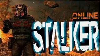 Как начать играть в S.T.A.L.K.E.R по Сети