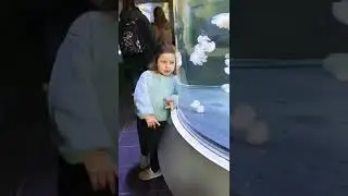 WOW! 