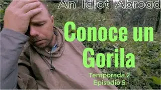 An Idiot Abroad  - Conoce un Gorila T2 E5 / Subtitulado en Español