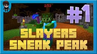 Hypixel Skyblock Singleplayer Slayers [1/3] (Sneak Peak / Stream Highlights)