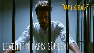 Levent'in zor geçen hapis günleri.... | Yaralı Kuşlar