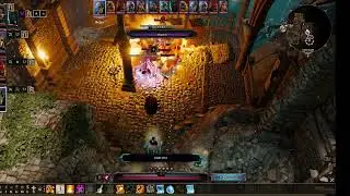 Divinity: Original Sin 2 прошли Башня короля Бракка