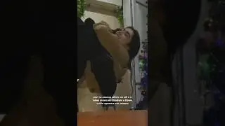 Сюрпризом приехала домой 🥹🫂