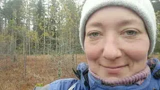 ПЛОХОЙ КЛЮКВЕННЫЙ КОМБАЙН