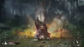 Wukong Тигр инь