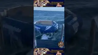 Подборка приколов 😂