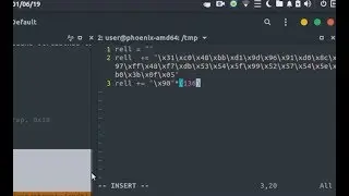 Stack 5 - Primer exploit con Shellcode - Desbordamiento de buffer