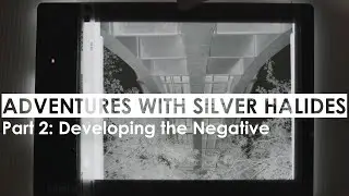 Adventures with Silver Halides: Exposing and Printing a Large Format Image Part 2