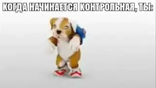 я, когда начинается контрольная: