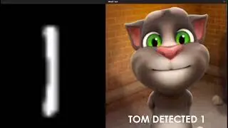 Tom recognizes MNIST Digits | CNN