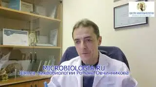 Тест с бацитрацином для пиогенного стрептококка. Какие еще стрептококки чувствительны к бацитрацину?
