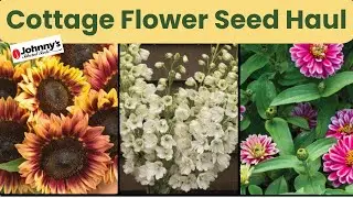 New 2024 Flower Seeds | Johnny's Flower Seed Haul| Cut Flowers 🌺😊💐