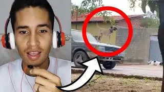 Estos animales hacen algo que jamás allaa visto (SI TE RIES PIERDES) 😅😂 #FUNNYVIRAL