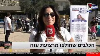 יום אימוץ למען החטופים