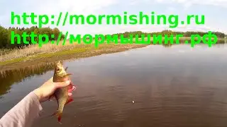 Мормышинг. Насадка приманок. Часть 2: сравнение забросов Trapara 602 XUL VS Bellezza 602 SXUL