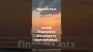 Scientific Fact Check 