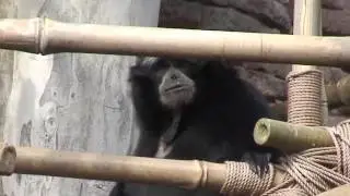 Patterson Disney 2009 Part 3