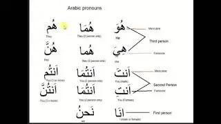Arabic pronoun discussion-part2