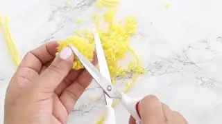 DIY Daisy Tote Bag