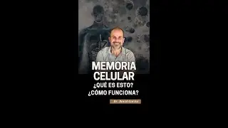 MEMORIA CELULAR ¿Qué es esto? ¿Cómo funciona?
