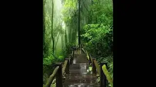 Beautiful nature | alam yang indah 