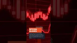 Bitcoin Markets Are Hammered! Whats Next?