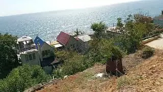 9 сентября 2024 г.