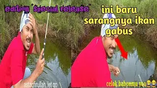 Mancing ikan gabus edisi rilis