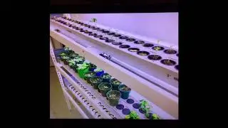 Riverponics The Hybrid Growing System