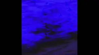Wocked Out! (Prod. Level)