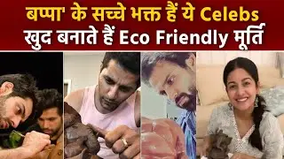Ganesh Chaturthi 2024: TV and Bollywood Celebs Eco Friendly Ganpati Making Video...