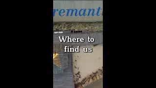 Here's where to find us in Fremantle! 🗺️
#Hemp #Fremantle #Store #Reels #Australia #hempco