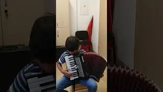 Chorando Se Foi -accordion cover