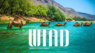CH5 - Nature Documentary - The Wind of Plenty narrated (1999)