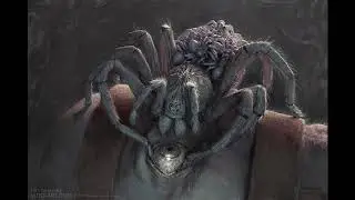 Kobra Project - Tarântula