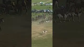 бузкаши навганда бахтовар бо аспи карабил 08 03 23 🐎🇹🇯🇺🇿🇰🇬🇰🇿👍