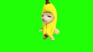 Banana Cat (Cursed) Green Screen